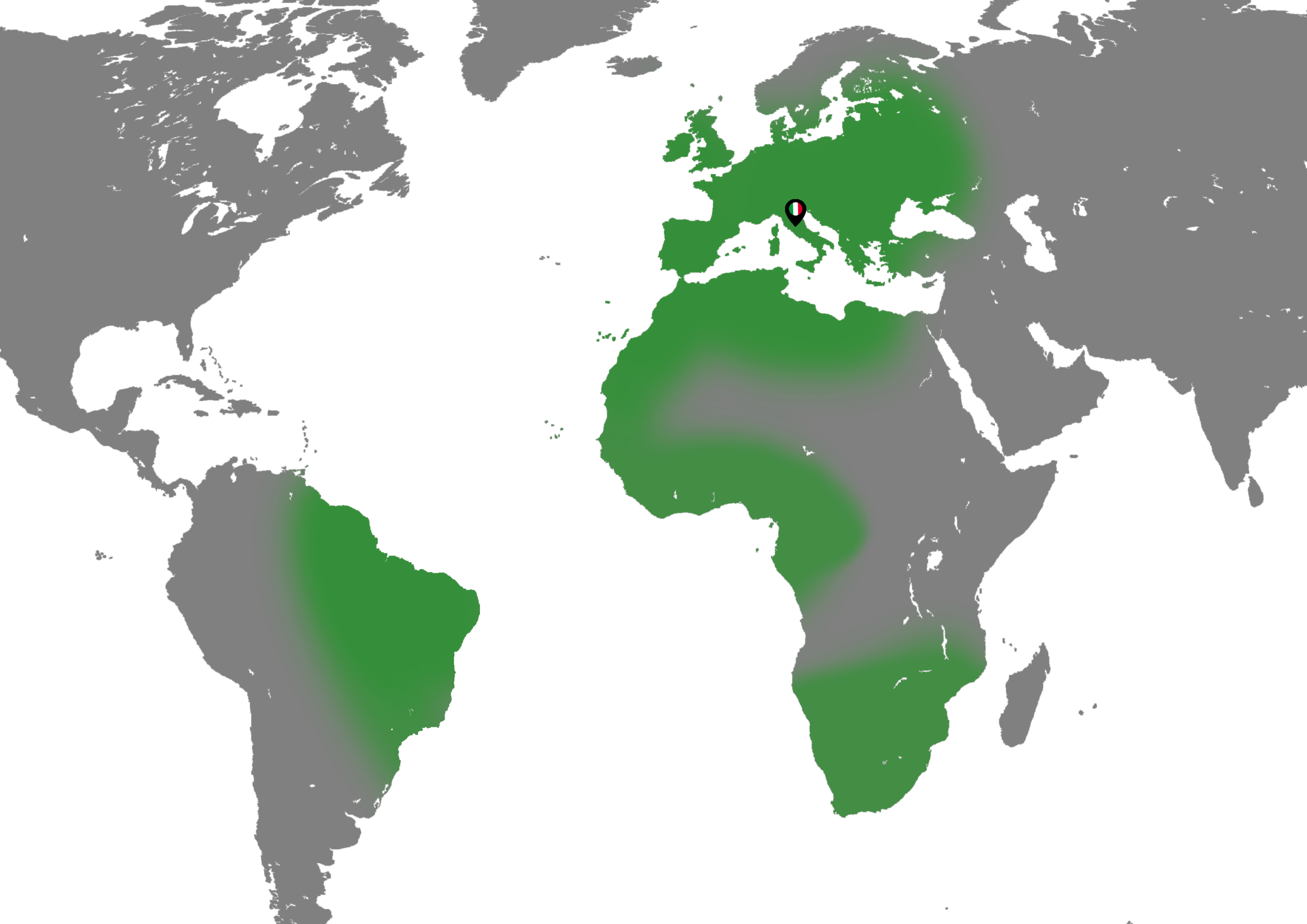 Mappa del mondo
